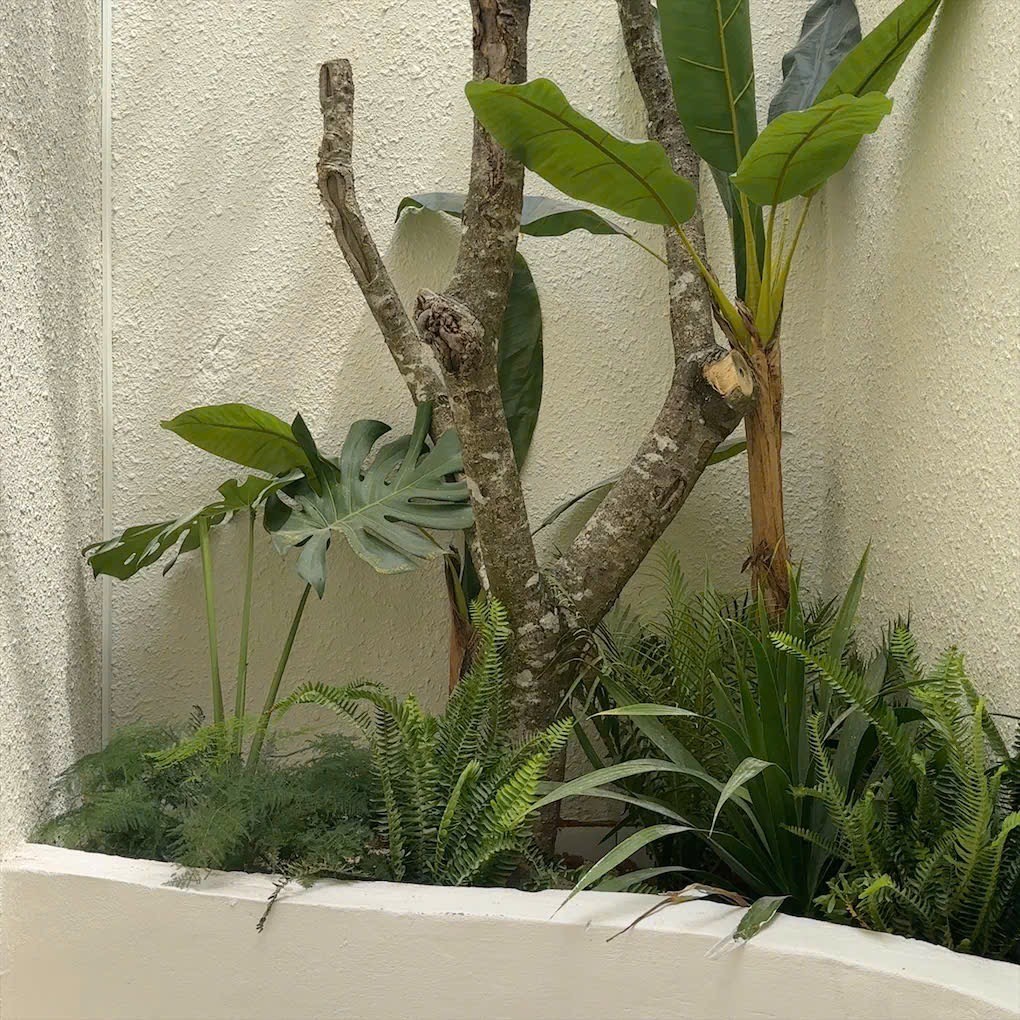 Phòng BB's Forest - Ảnh 3